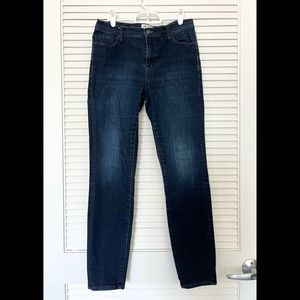 Madewell Mid-Rise Dark Indigo Wash Skinny Jeans